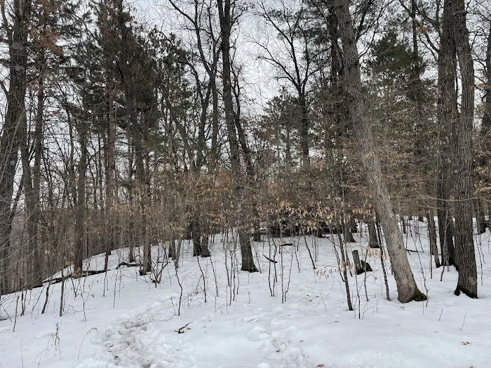 Wild River State Park camping cabins Picture 4