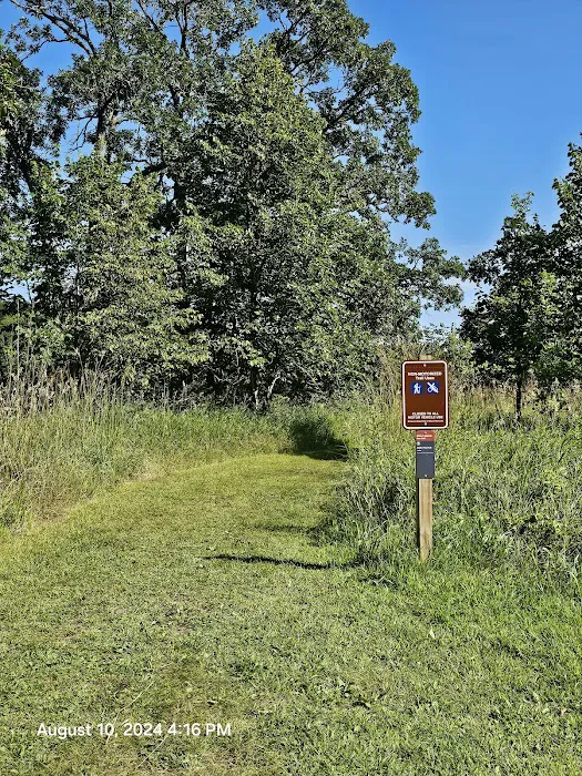 Wild River State Park Main Campground Picture 6