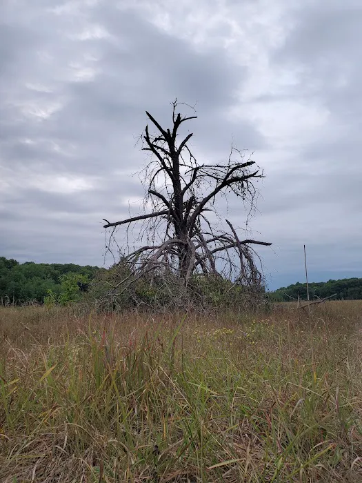 Wild River State Park Group Camp Picture 1