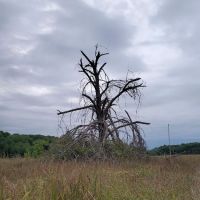 Wild River State Park Group Camp ico