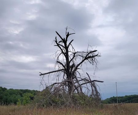 Wild River State Park Group Camp