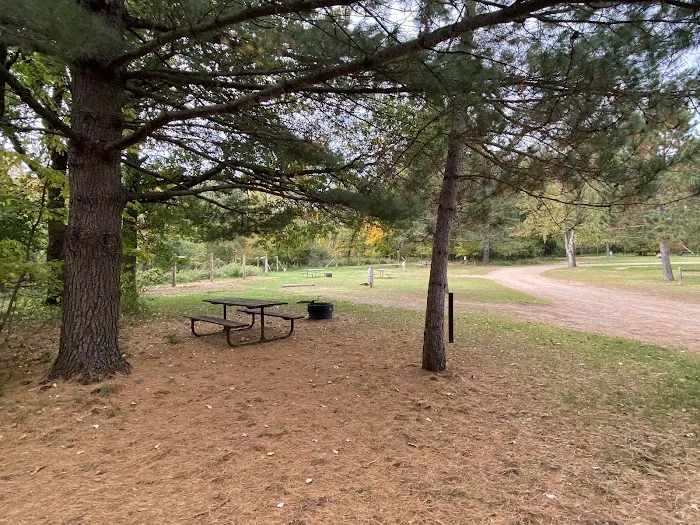 Wild River State Park Equestrian Campground Picture 8