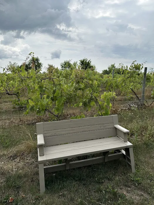 Wild Vines Campground Picture 6