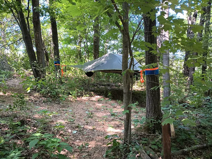 Wild Vines Campground Picture 5