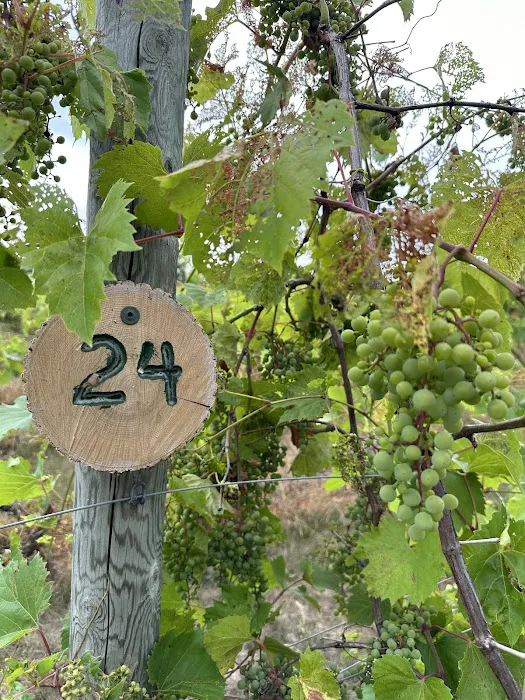 Wild Vines Campground Picture 7