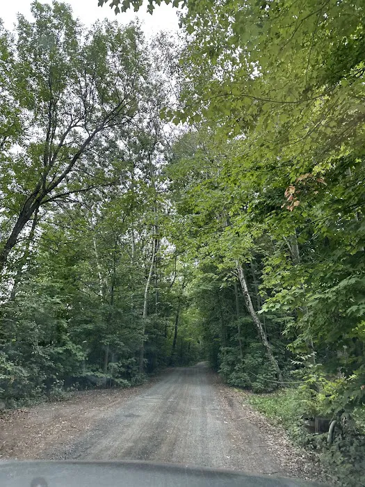Wild Vines Campground Picture 4