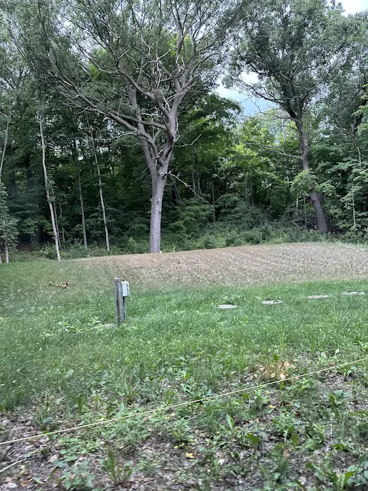 Wild Vines Campground Picture 9
