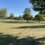Brushy Creek Beach Campground