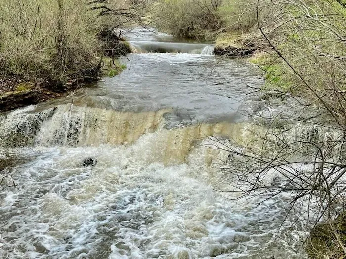 Briggs Woods Campground Picture 3