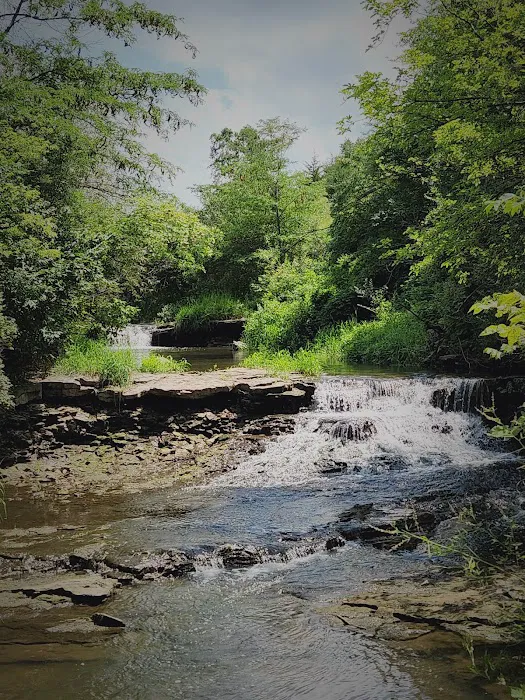 Briggs Woods Campground Picture 8