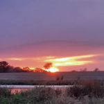 Sunny Acres Campground