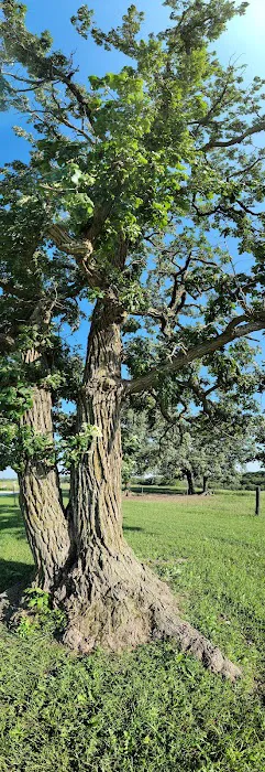 Whiterock Conservancy Oak Ridge Campground Picture 4