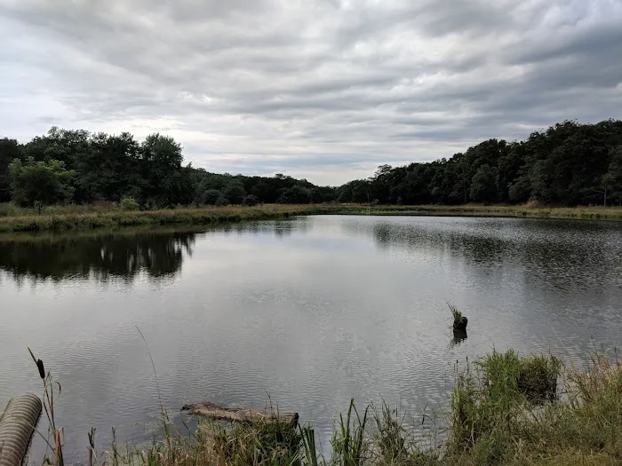 Whiterock Conservancy River Campground Picture 10