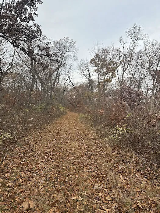 Mine Pond Campground Picture 6