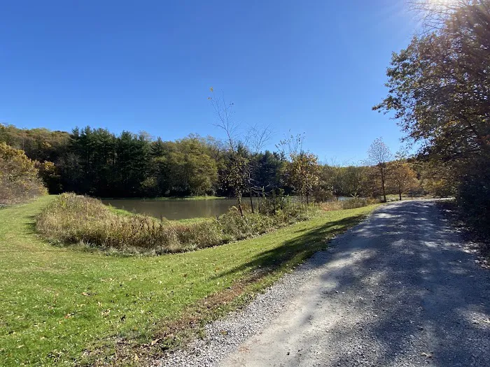 Mine Pond Campground Picture 7