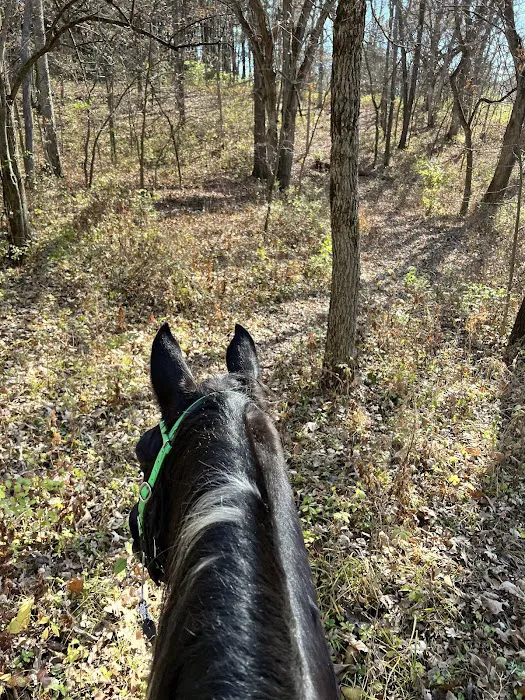 Stephens Camp Ground Picture 4