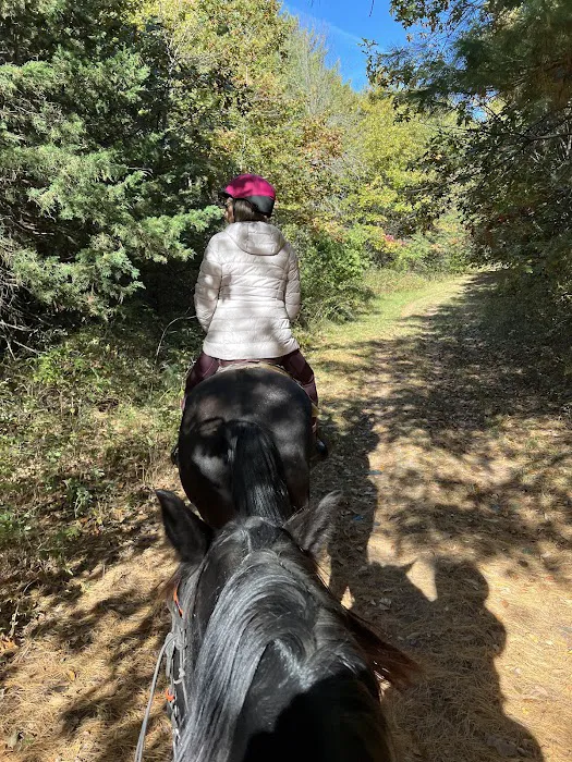 Stephens Camp Ground Picture 1