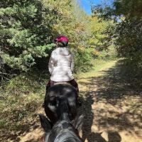 Stephens Camp Ground ico