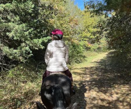 Stephens Camp Ground