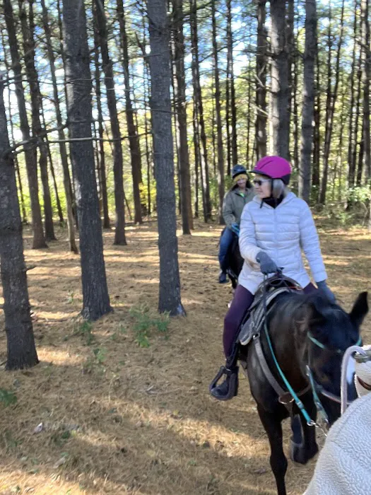 Stephens Camp Ground Picture 3