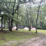 Stephen’s Forest Boy Scout Camp Y0003