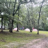 Stephen’s Forest Boy Scout Camp Y0003 ico