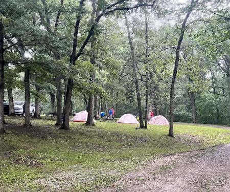Stephen’s Forest Boy Scout Camp Y0003
