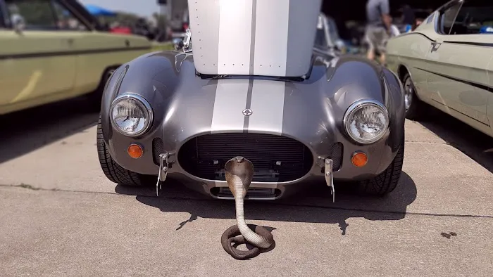 Ottumwa City Campground Picture 8