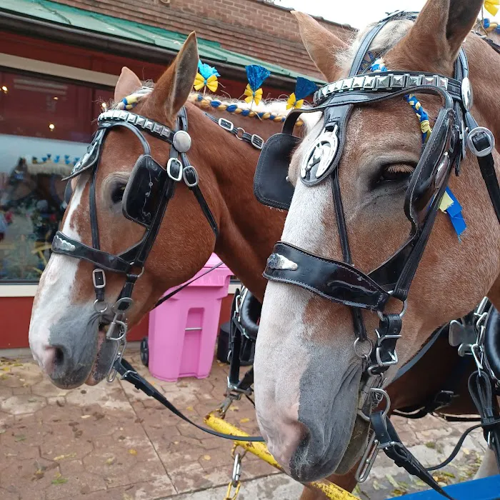 Sleepy Eye Campground Picture 9