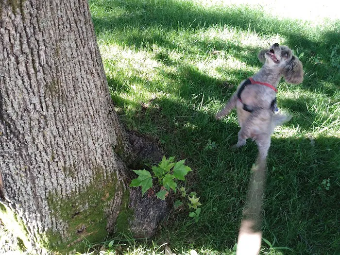 Minnewashta Campground Picture 9