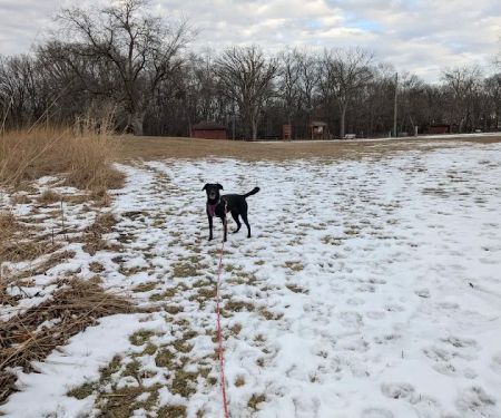 Sac County Conservation Board