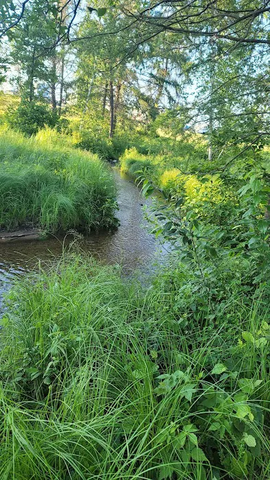 Camp Namekagon Picture 2