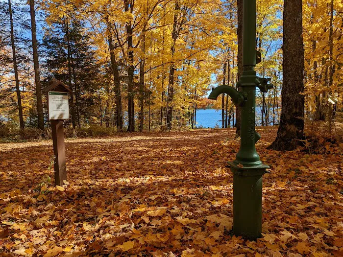 Pomeroy Lake Campground Picture 2