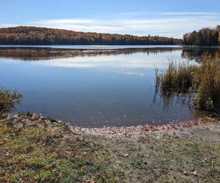 Bobcat Lake Campground