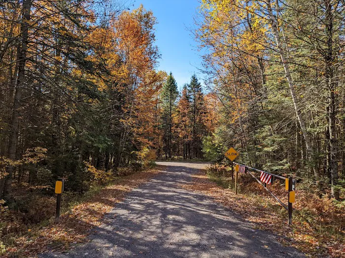Bobcat Lake Campground Picture 6