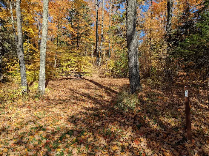 Bobcat Lake Campground Picture 8