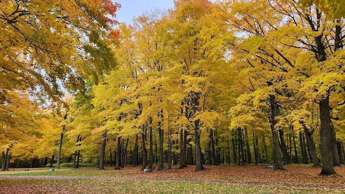 Porcupine Mountains Presque Isle-Rustic Picture 9