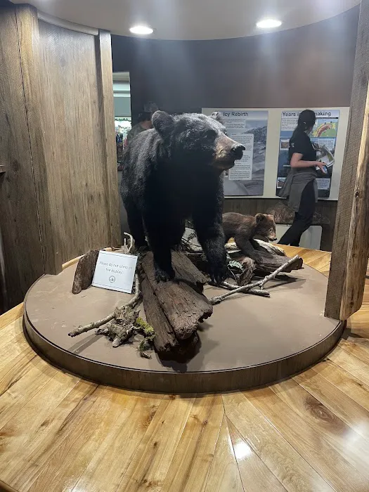 Porcupine Mountains Presque Isle-Rustic Picture 5