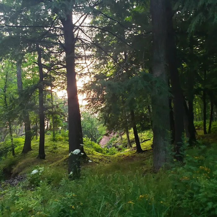 Presque Isle Campground Picture 7