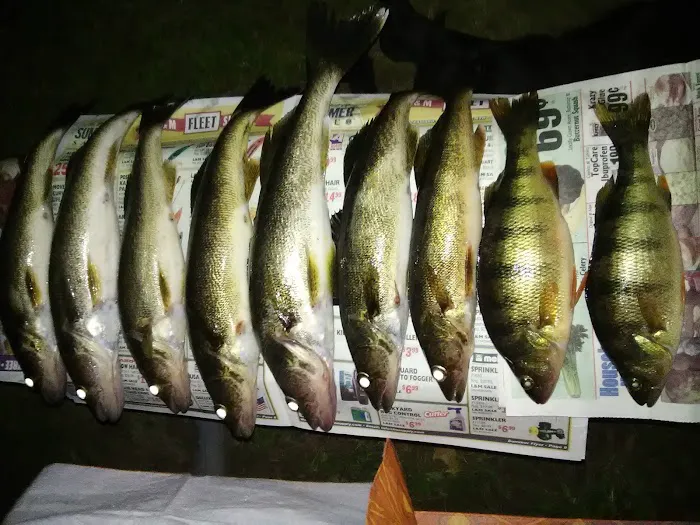 Ontonagon County Park Campground and Picnic Area Picture 10