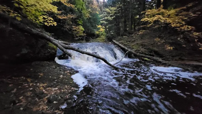 Greenstone Falls 4 Cabin Picture 1