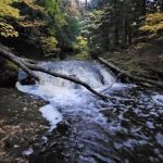 Greenstone Falls 4 Cabin