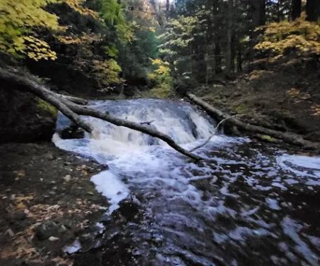Greenstone Falls 4 Cabin
