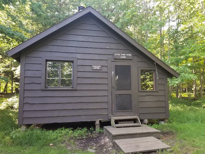 Little Carp Cabin Picture 4