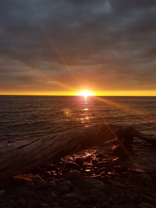 Little Carp Cabin Picture 1