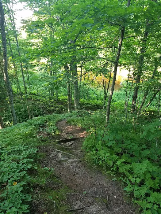 Little Carp Cabin Picture 3