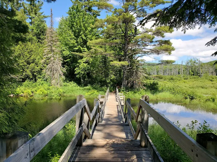 Lily Pond Cabin Picture 4