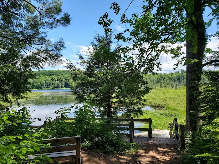 Lily Pond Cabin Picture 7