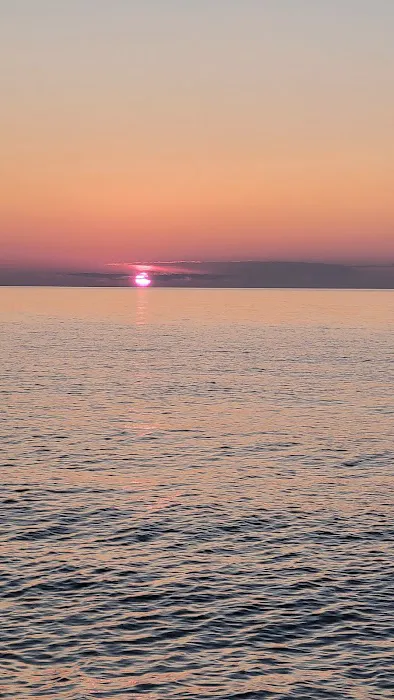 Big Carp 4 Cabin Picture 1