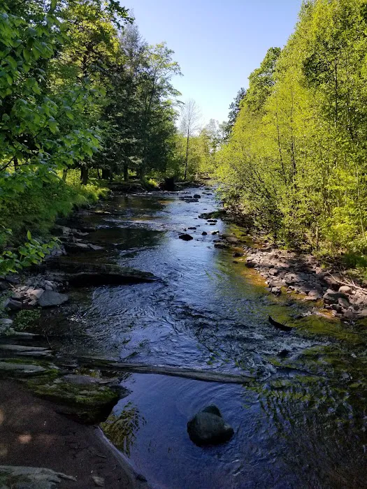 Big Carp 6 Cabin Picture 5